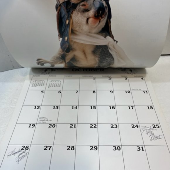 VTG "Sydney", the Qantas Koala Bear 1986 Calendar 12x12" - Picture 9 of 12